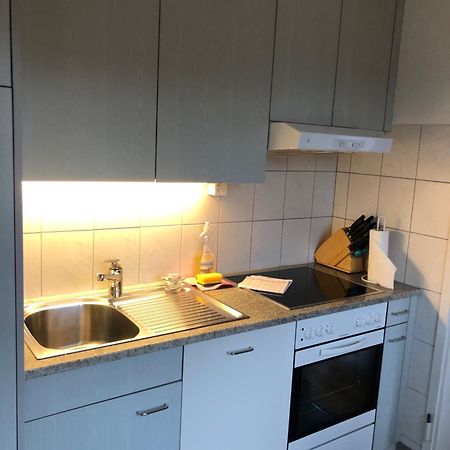 Cozy, Sunny, City Center 1 Bedroom Flat Zurich Ngoại thất bức ảnh