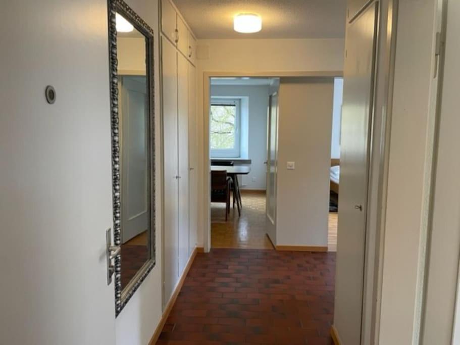 Cozy, Sunny, City Center 1 Bedroom Flat Zurich Ngoại thất bức ảnh