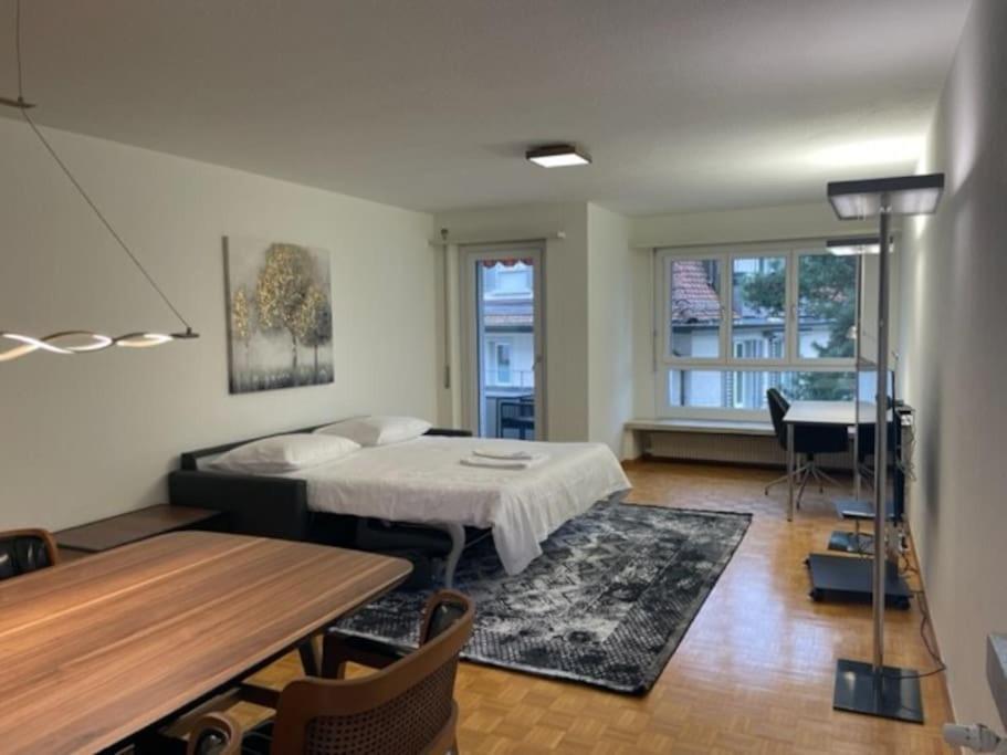 Cozy, Sunny, City Center 1 Bedroom Flat Zurich Ngoại thất bức ảnh