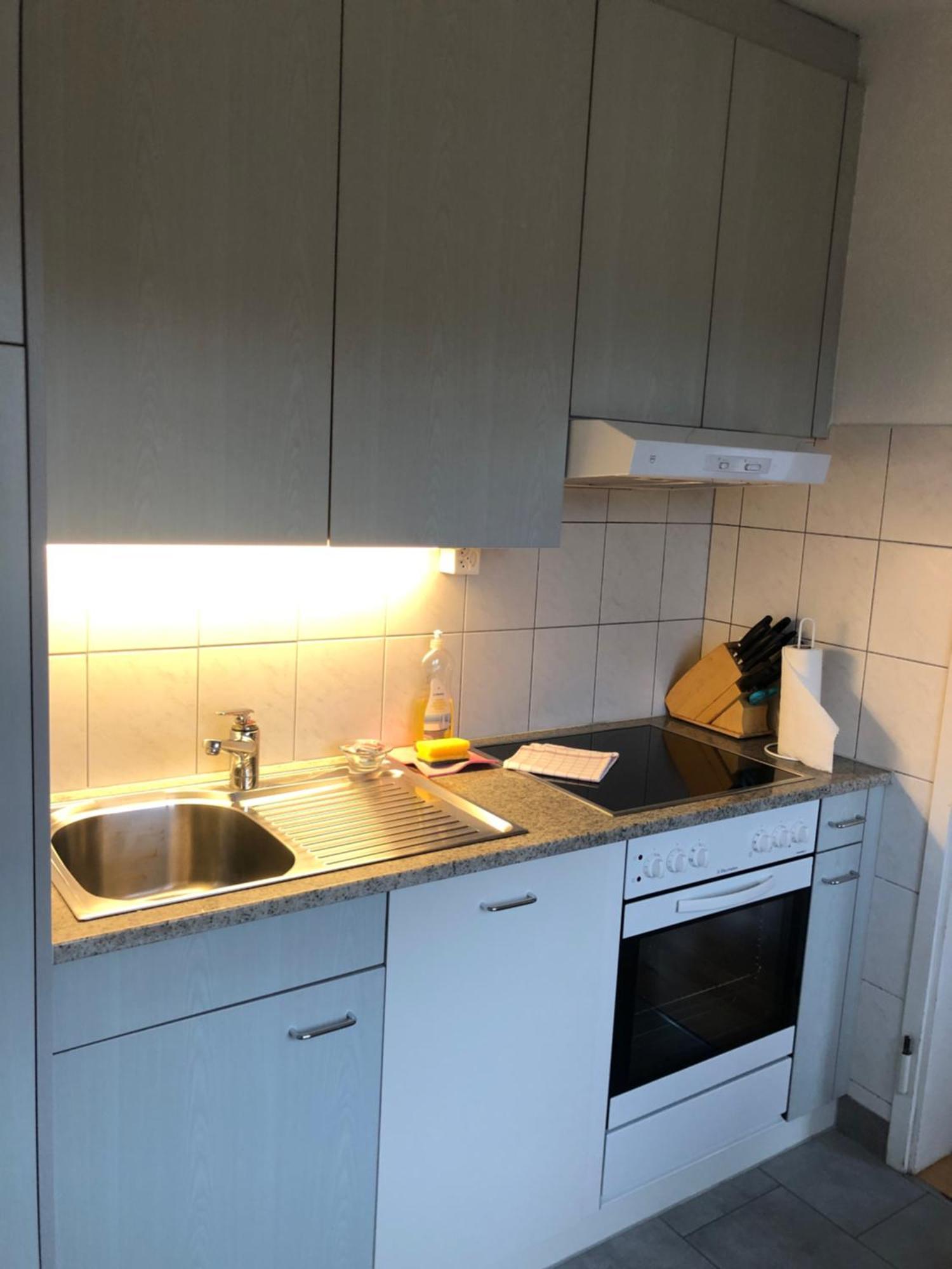 Cozy, Sunny, City Center 1 Bedroom Flat Zurich Ngoại thất bức ảnh