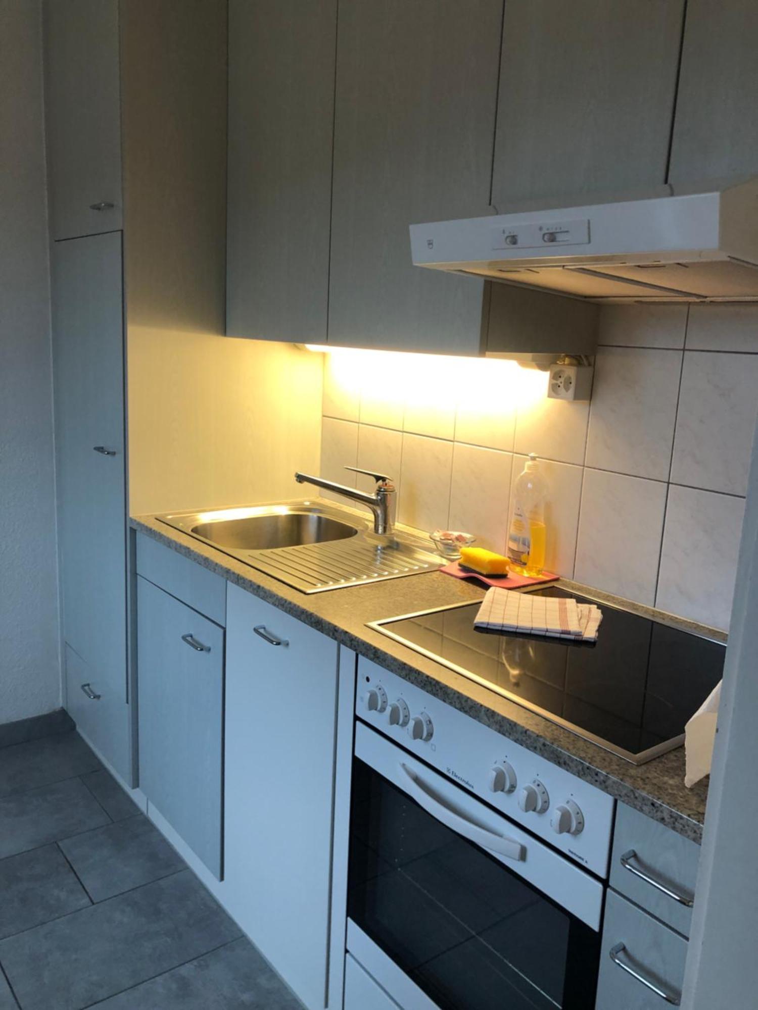 Cozy, Sunny, City Center 1 Bedroom Flat Zurich Ngoại thất bức ảnh